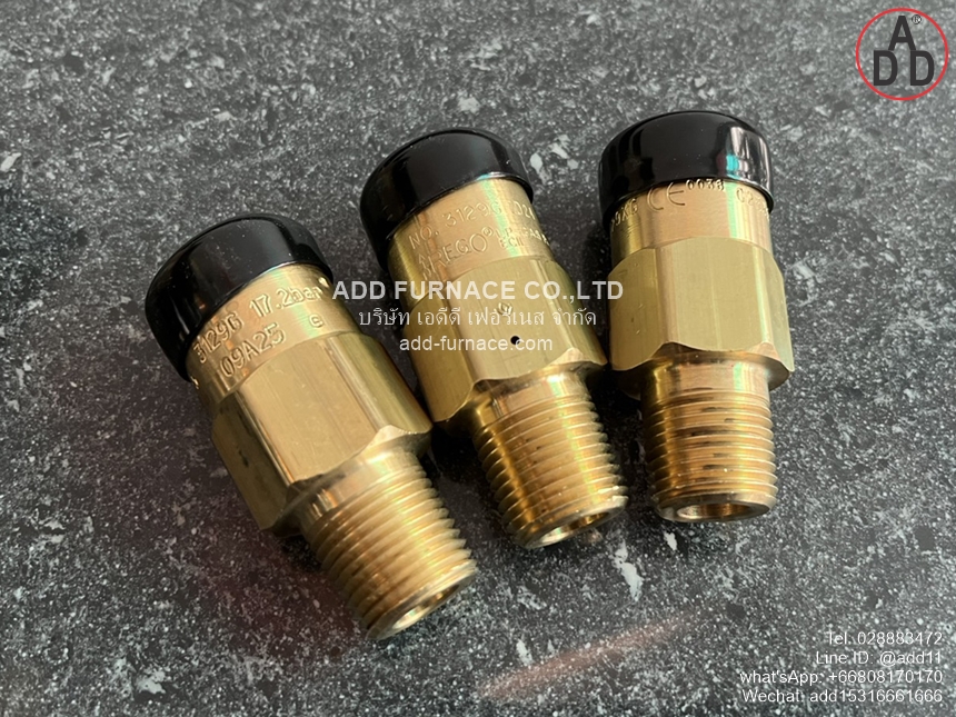 Rego 3129G Safety Relief Valve (2)